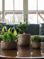 Кашпо Maxim pot shiny earth D22 H20 см