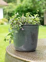 Кашпо Freya pot grey (набор 3 шт) D35 H31 см Кашпо Freya pot grey (набор 3 шт) D35 H31 см