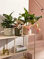 Кашпо Facet round forest green D14 H13 см