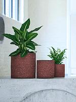 Кашпо Cicle large orchidpot terracotta D18 H18 см Кашпо Cicle large orchidpot terracotta D18 H18 см