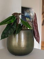 Кашпо Esra pot shiny green D15 H13 см