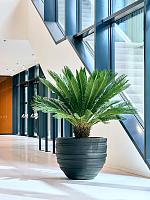 Кашпо Baq polystone coated junar couple smoke D90 H72 см