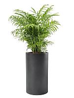 Кашпо Baq basic cylinder dark grey (mit einsatz) D30 H55 см