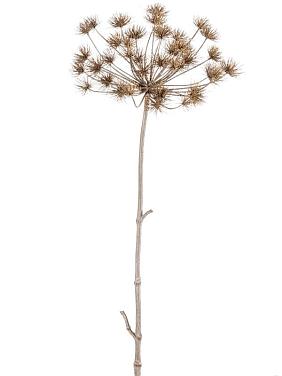 Борщевик сухой искусственный