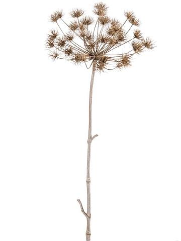 Борщевик сухой искусственный Борщевик сухой искусственный