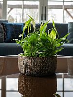 Кашпо Maxim bowl shiny earth D20 H9 см