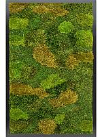 Картина из мха mdf ral 9005 satin gloss 20% flat and 80% exclusive moss (mix) L60 W40 H6 см