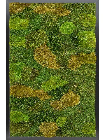 Картина из мха mdf ral 9005 satin gloss 20% flat and 80% exclusive moss (mix)