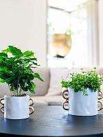 Кашпо Bianca pot ivory D14 H13 см