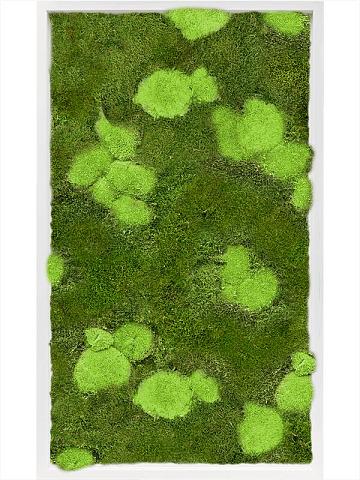 Картина из мха mdf ral 9010 satin gloss 30% ball- and 70% flat moss Картина из мха mdf ral 9010 satin gloss 30% ball- and 70% flat moss