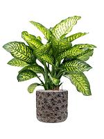 Кашпо Baq luxe lite universe moon cylinder bronze D40 H38 см