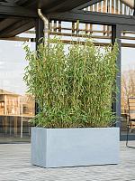 Кашпо Argento box natural grey L90 W40 H40 см