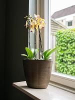 Кашпо Norell planter chestnut L29 W15 H26 см