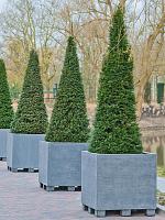 Кашпо Fiberstone jumbo xl grey L110 W110 H100 см