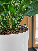 Кашпо Baq ecoline rise regular partner straight D40 H75 см