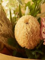 Банксия оранжевая искусственная W8 H65 см