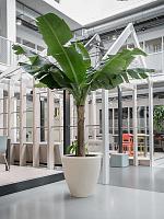 Кашпо Baq polystone plain couple natural D65 H65 см