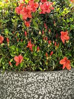 Кашпо Valeria pot anthracite (набор 5 шт) D100 H90 см