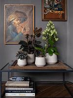 Кашпо Ceramic julia xs funghi beige D11 H11 см