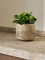 Кашпо Fracture large orchidpot pistache D17 H16 см Кашпо Fracture large orchidpot pistache D17 H16 см