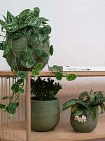 Кашпо Lydia pot shiny green D22 H20 см