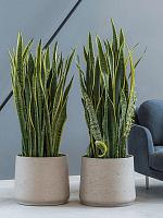 Кашпо Rough patt xxxl grey washed D45 H38 см