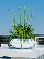 Кашпо Fiberstone tara s glossy white D40 H15 см