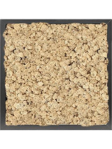 Картина из мха mdf ral 9005 satin gloss 100% reindeer moss (natural) Картина из мха mdf ral 9005 satin gloss 100% reindeer moss (natural)