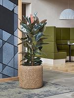 Кашпо Baq naturescast cylinder natural (с техническим горшком) D38 H40 см