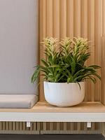 Кашпо Fiberstone sunny m matt white D33 H20 см