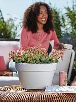 Кашпо Loft urban bowl white D35 H20 см Кашпо Loft urban bowl white D35 H20 см