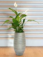 Ваза Joyce pot tall shiny olive D31 H68 см