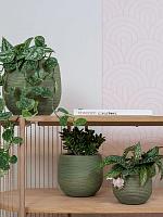 Кашпо Lydia pot shiny green D18 H16 см