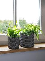 Кашпо Bernt pot shiny black D21 H19 см