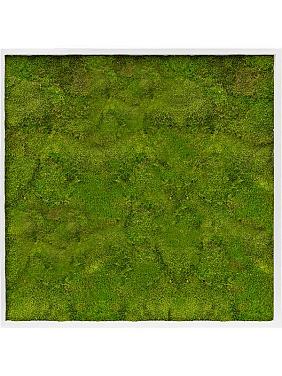 Картина из мха mdf ral 9010 satin gloss 100% flat moss Картина из мха mdf ral 9010 satin gloss 100% flat moss