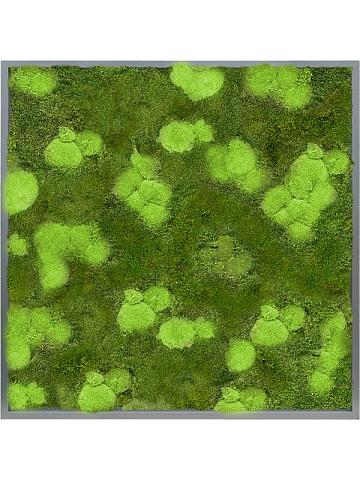 Картина из мха mdf ral 7016 satin gloss 30% ball- and 70% flat moss Картина из мха mdf ral 7016 satin gloss 30% ball- and 70% flat moss