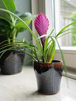 Кашпо Nia pot night D18 H15 см