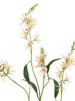 Камассия персиковая искусственная H101 см