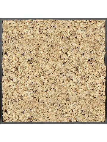 Картина из мха mdf ral 9005 satin gloss 100% reindeer moss (natural) Картина из мха mdf ral 9005 satin gloss 100% reindeer moss (natural)