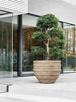 Кашпо Baq polystone coated junar couple rock D150 H120 см