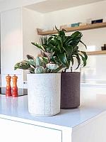 Кашпо Otium mensa violet cork D20 H24 см Кашпо Otium mensa violet cork D20 H24 см