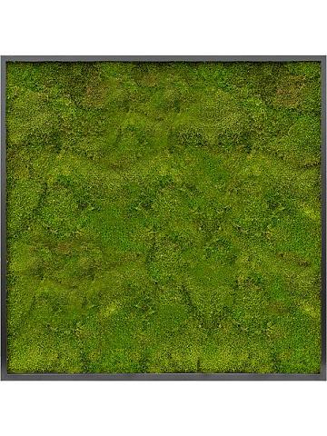 Картина из мха mdf ral 9005 satin gloss 100% flat moss Картина из мха mdf ral 9005 satin gloss 100% flat moss