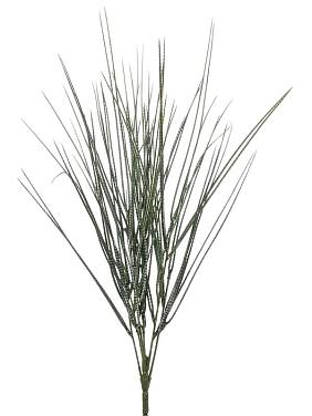 Цитисус пучок искусственный