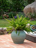 Кашпо Mediterranean zeus l rustic green D69 H58 см