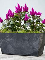 Кашпо Artstone ella balcony black L37 W17 H17 см