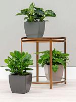 Кашпо Baq ecoline phoenix regular cube L18 W18 H17 см