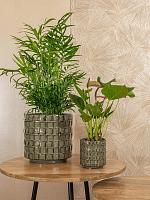 Кашпо Stian pot moss green D7 H7 см