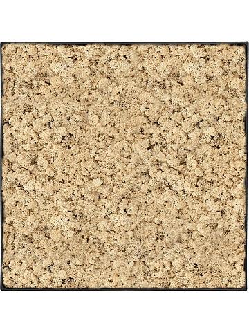 Картина из мха nova frame anthracite-concrete 100% reindeer (natural) Картина из мха nova frame anthracite-concrete 100% reindeer (natural)