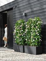 Кашпо Vivo next long rectangle living black L78 W39 H38 см