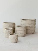 Кашпо Pine large orchidpot natural D17 H16 см Кашпо Pine large orchidpot natural D17 H16 см